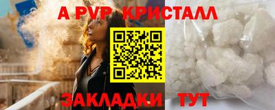 стаф Малгобек