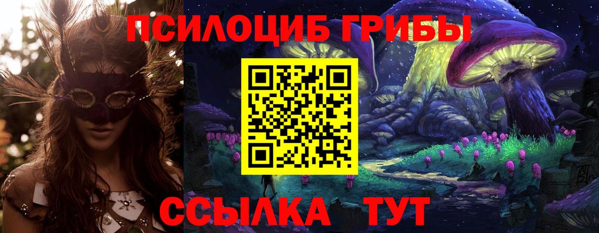 Галлюциногенные грибы MAGIC MUSHROOMS Великий Устюг