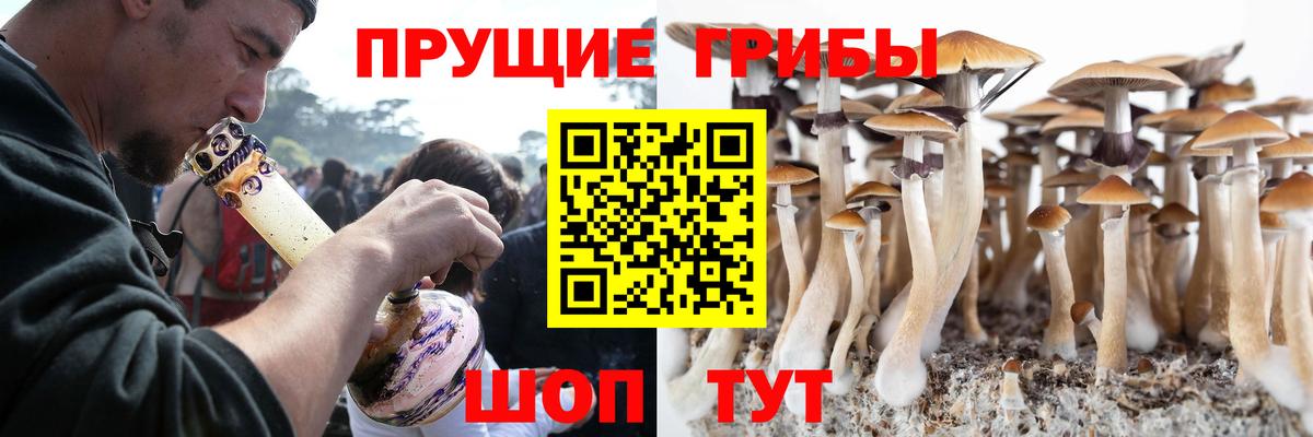 Галлюциногенные грибы Magic Shrooms  Вход с VPN  Великий Устюг 